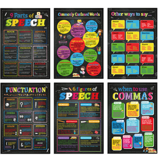 6 Pieces English Grammar Posters Educational Literary Wall Signs,16 x 11 Inch