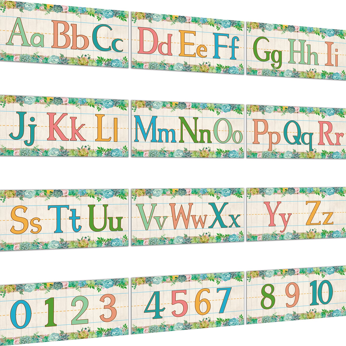 12 Pieces Alphabet Bulletin Board Strips Set Alphabet & Number Border (Succulent)