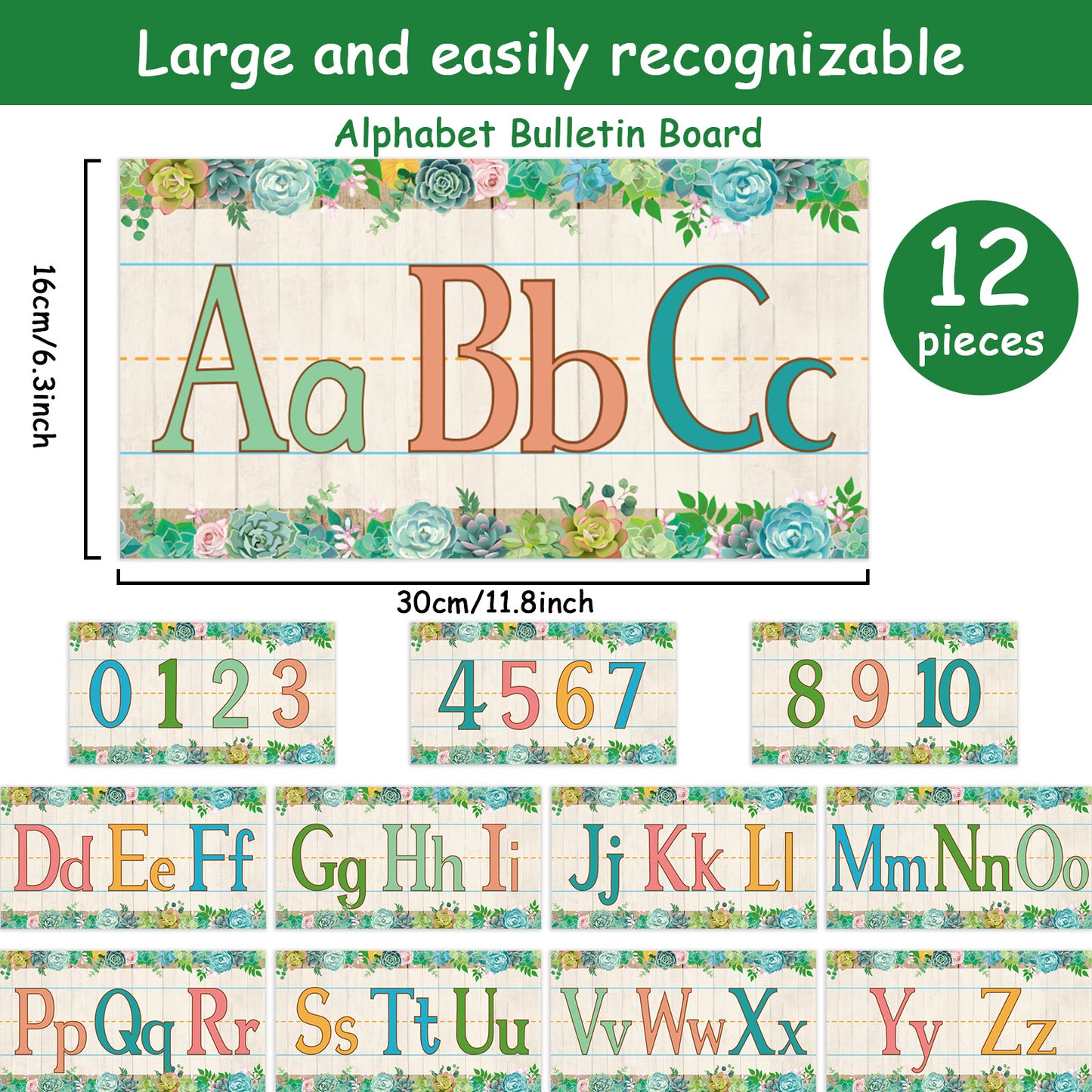 12 Pieces Alphabet Bulletin Board Strips Set Alphabet & Number Border (Succulent)