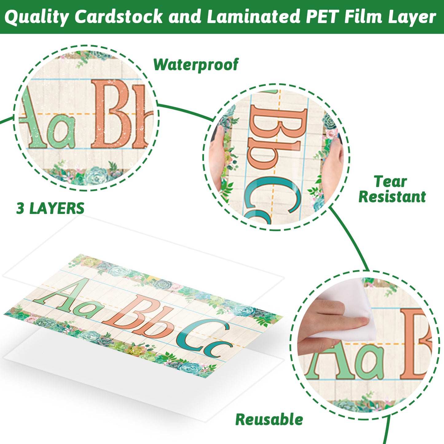 12 Pieces Alphabet Bulletin Board Strips Set Alphabet & Number Border (Succulent)