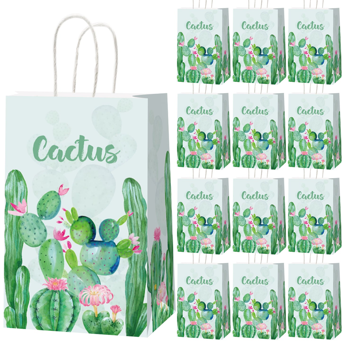 12 Pcs Cactus Party Decorations Supplies Bags